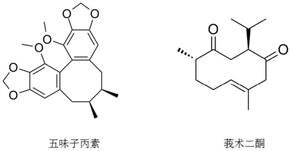 Pharmaceutical composition for treating chronic liver injury and application of pharmaceutical composition