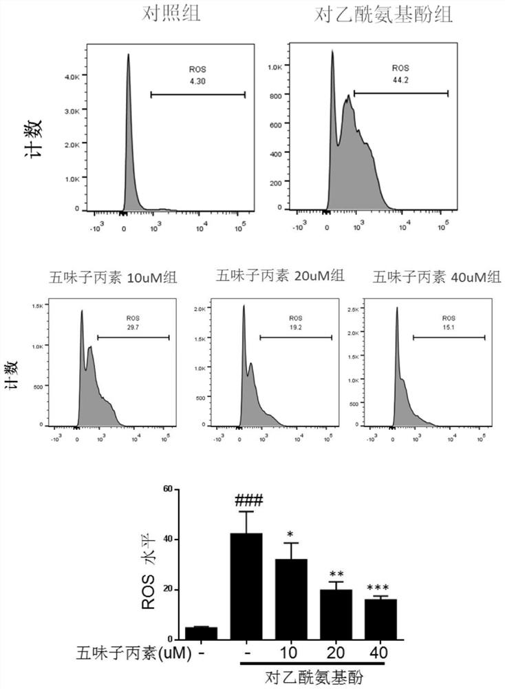 Pharmaceutical composition for treating chronic liver injury and application of pharmaceutical composition