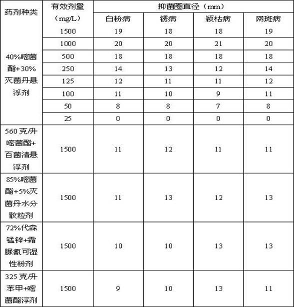 Azoxystrobin-folpet compounded suspension agent and preparation method thereof