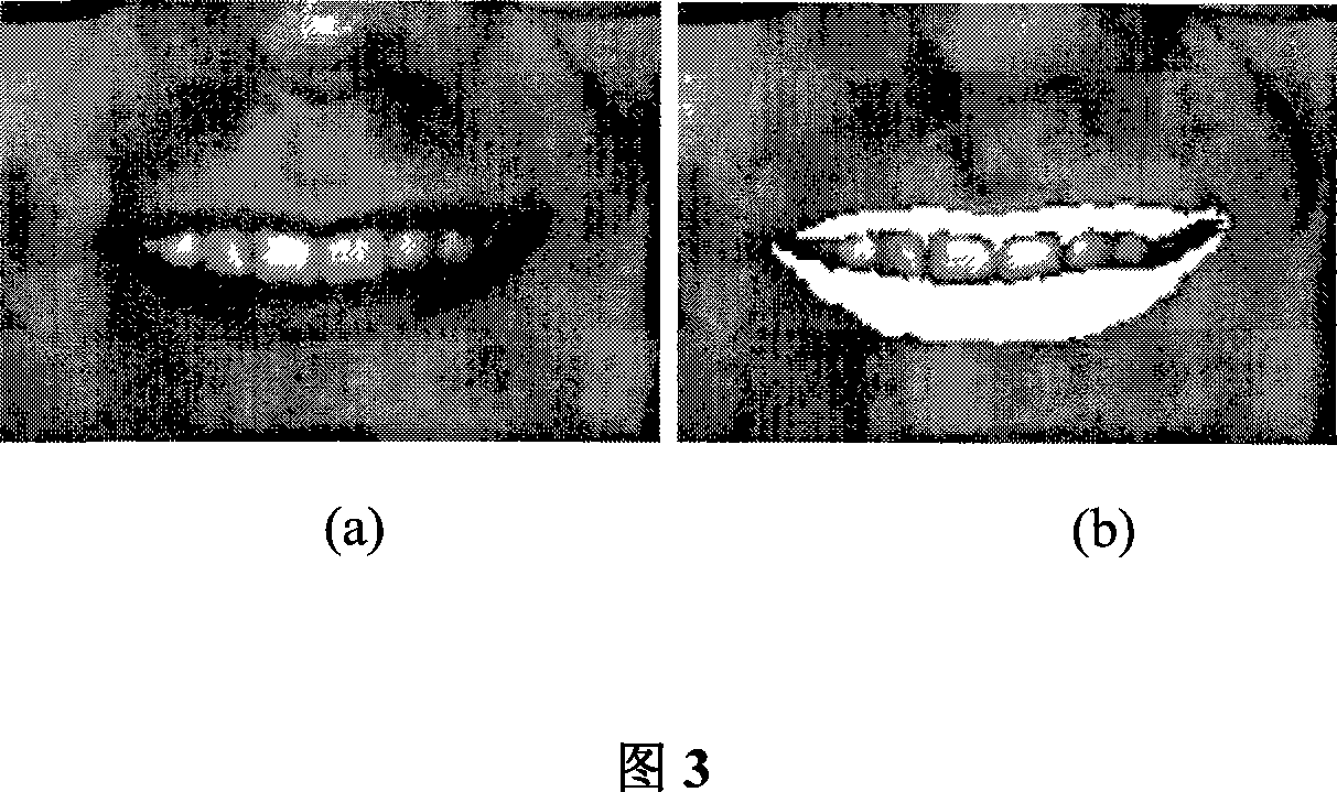 Identity identification method based on lid speech characteristic