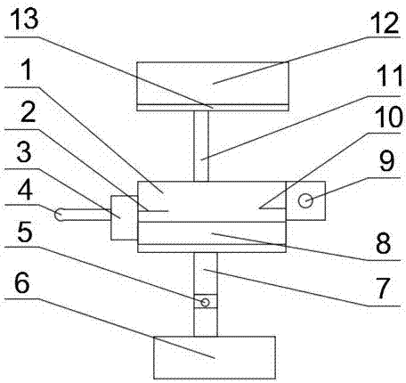 Practical bionic signal generator for communication engineering