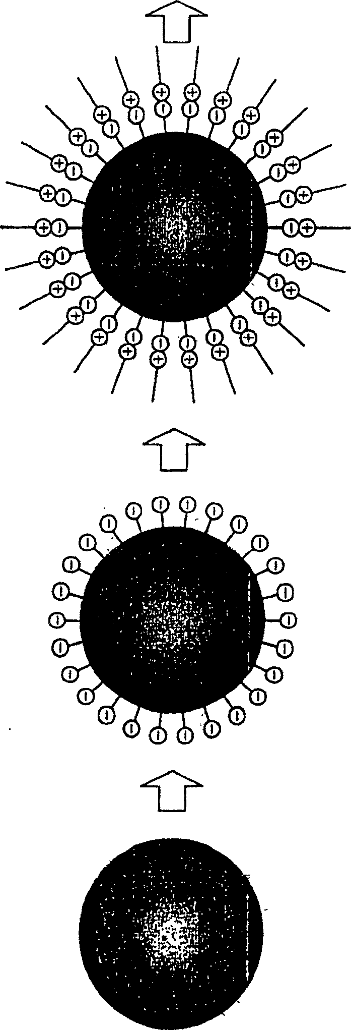 Encapsulation product, process for producing the same, and ink composition