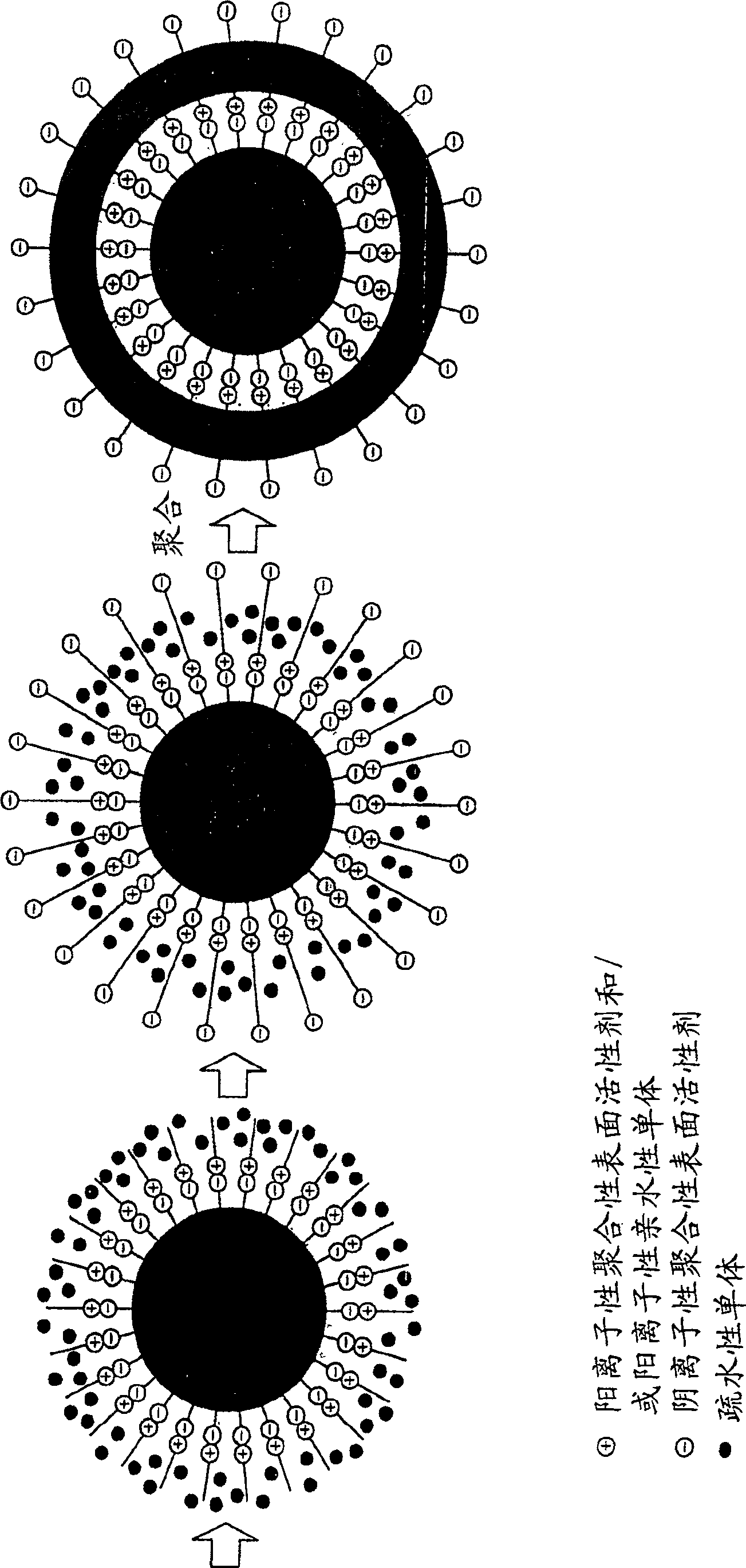 Encapsulation product, process for producing the same, and ink composition