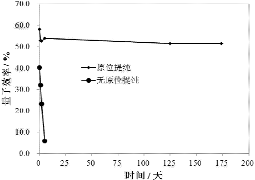 Nanocrystalline quantum dot with core-shell structure and preparation method of nanocrystalline quantum dot