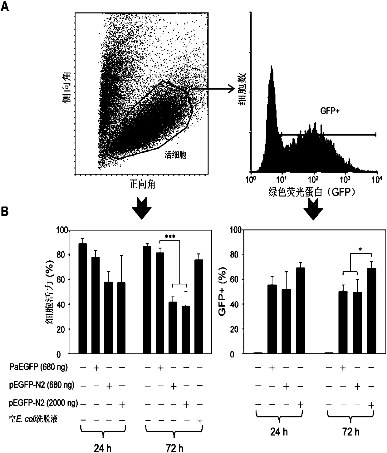 Method for pcr amplified gene nucleotransfer to suspension animal cells