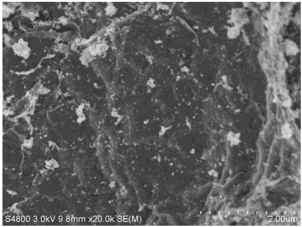 Method for treating antibiotic and heavy metal combined pollution water by using modified graphene oxide