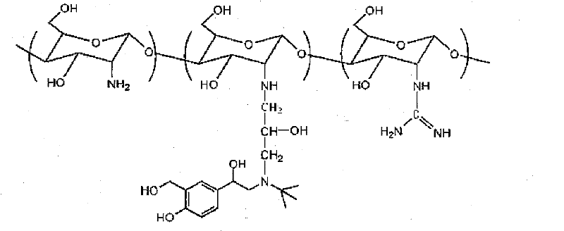 Salbutamol modified guanidinated chitosan and preparation method and application thereof