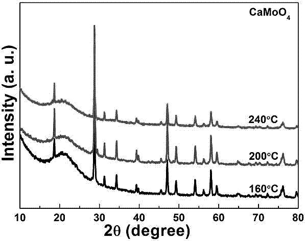 Preparation method of calcium molybdate/molybdenum disulfide composite luminescent material