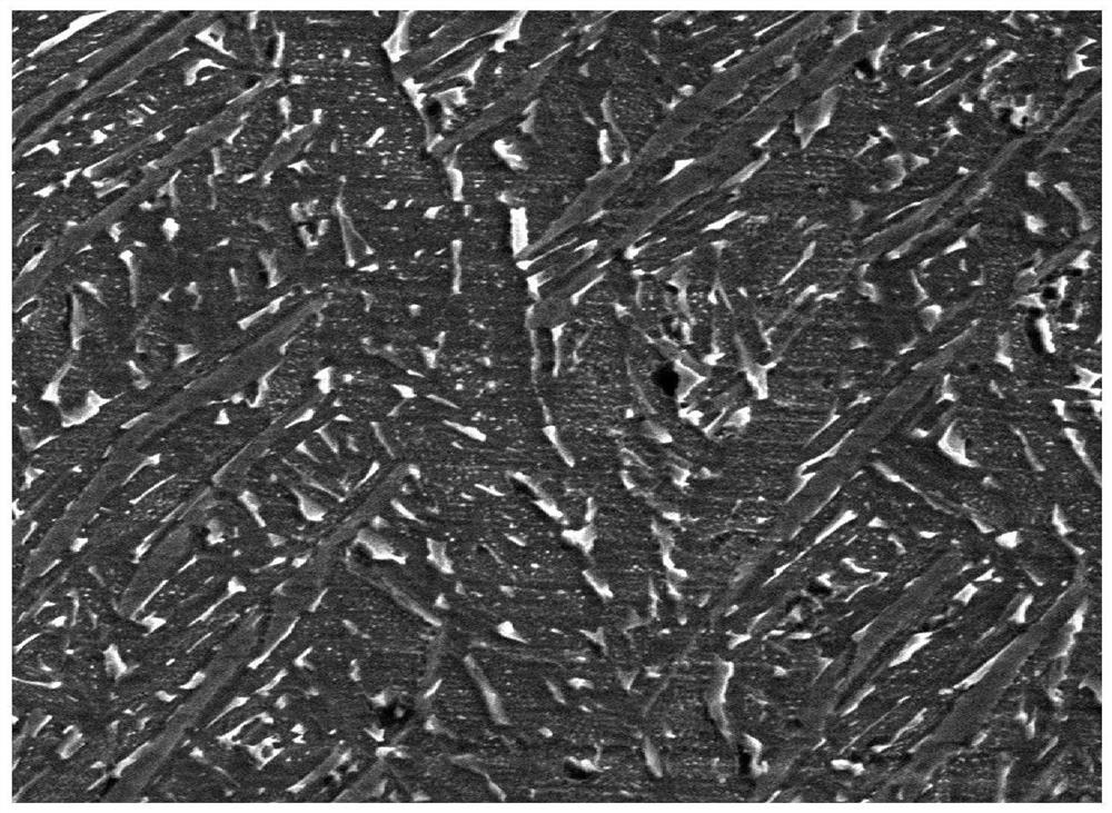 Treatment method for prolonging fatigue life of titanium alloy by using pulsed magnetic field treatment