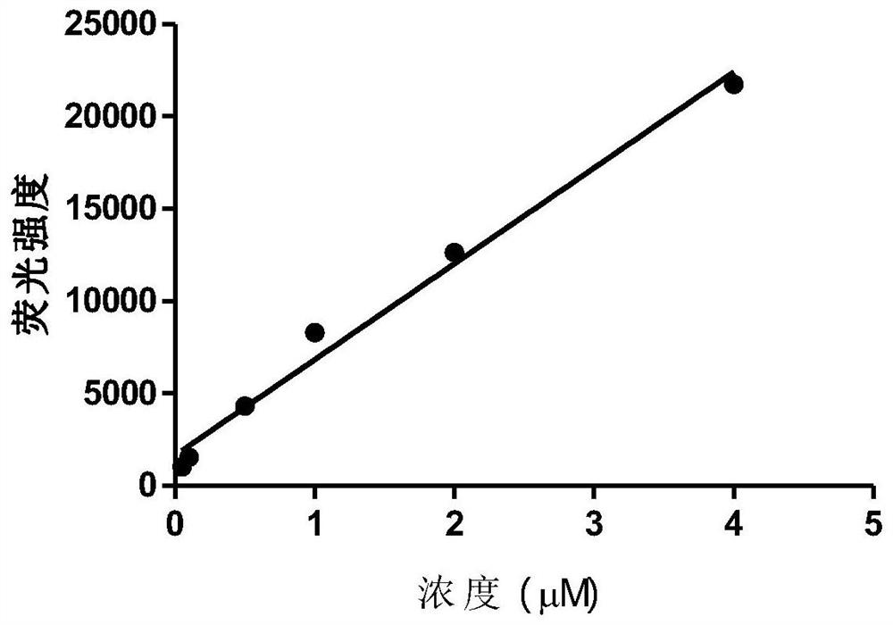 Bacterial carrier used for photodynamic therapy, and preparation method and application of bacterial carrier