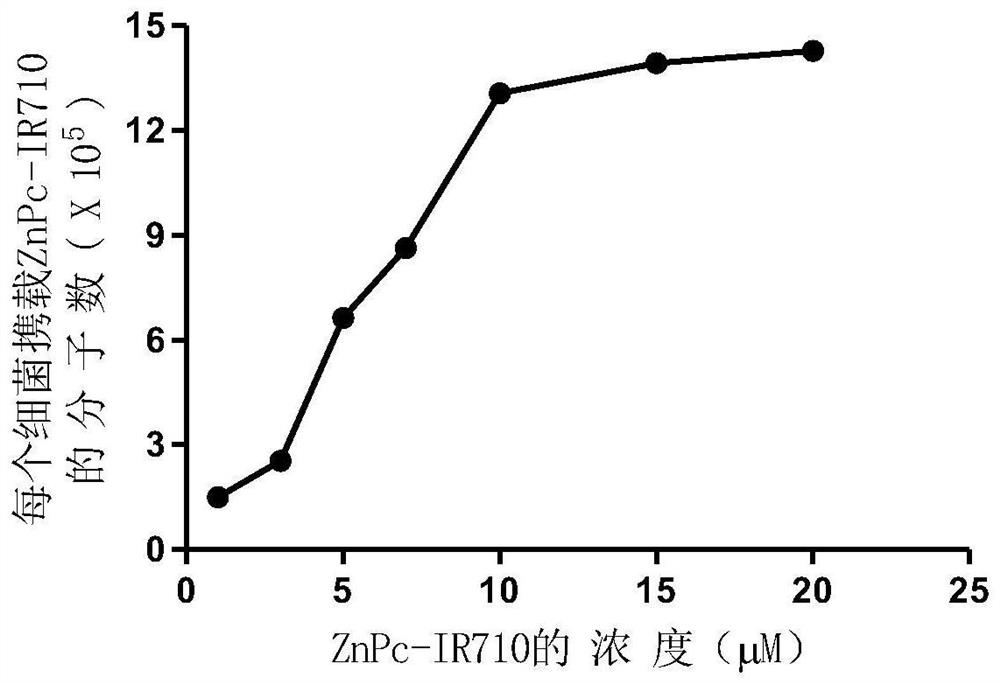 Bacterial carrier used for photodynamic therapy, and preparation method and application of bacterial carrier