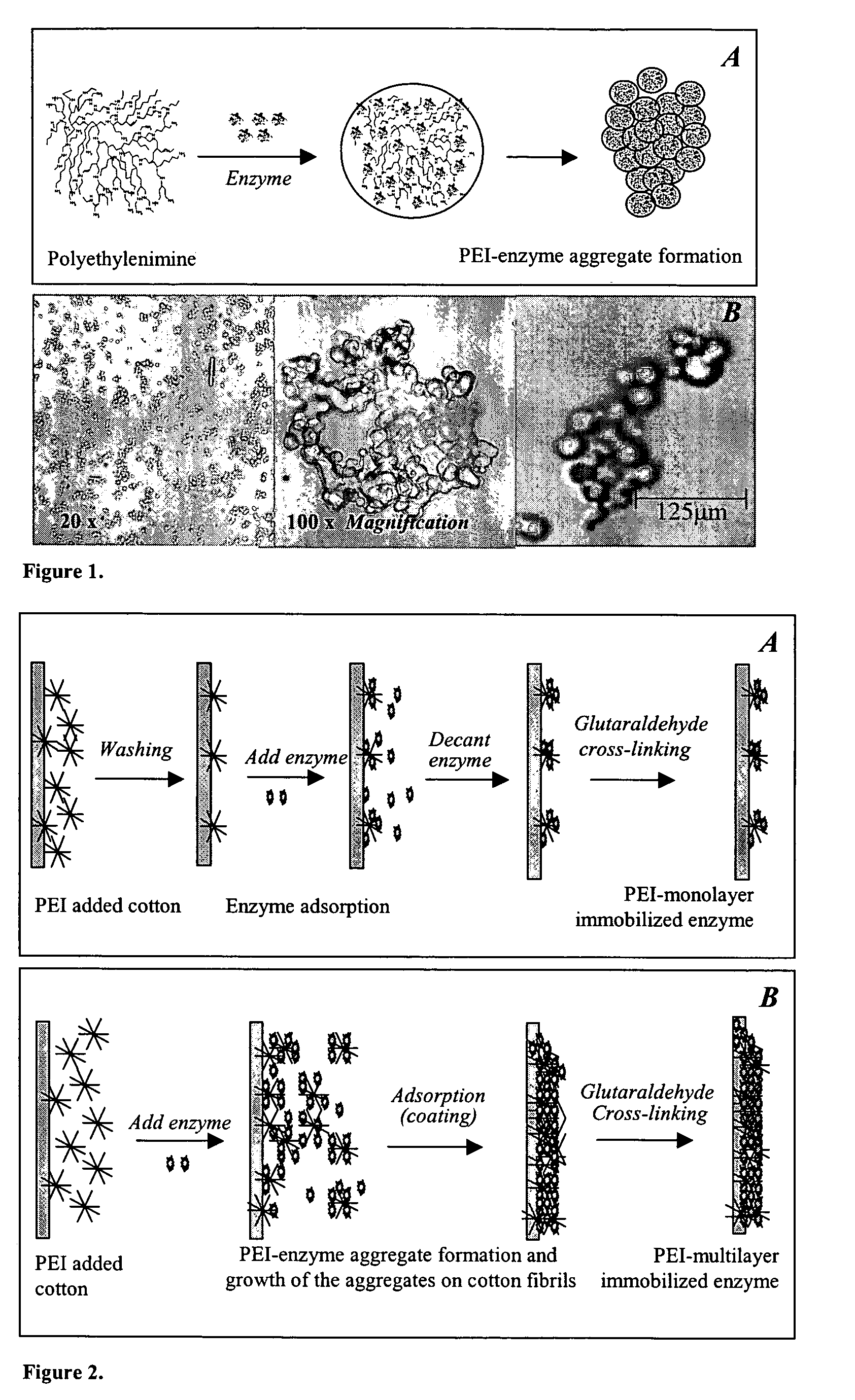 Immobilization of enzyme on a fibrous matrix