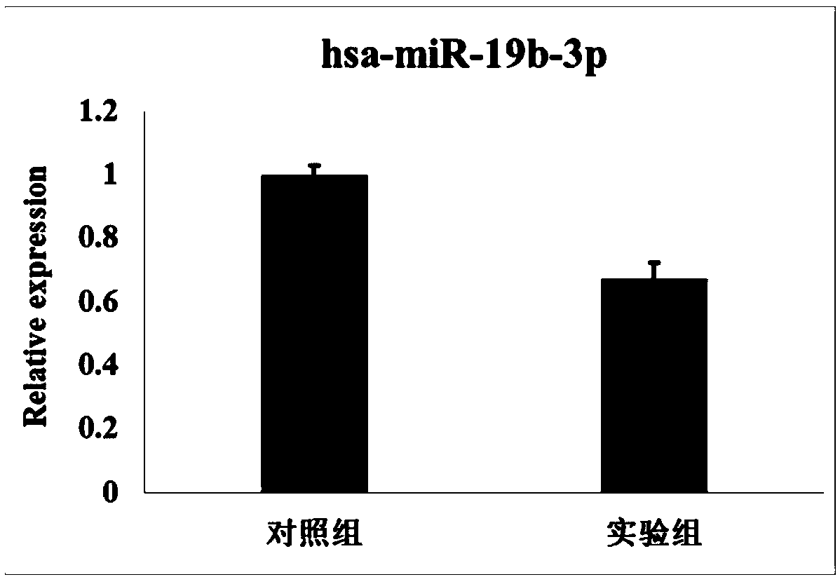 Early embryo diapause villus tissue miRNAs biomarkers and detection method of expression quantity thereof