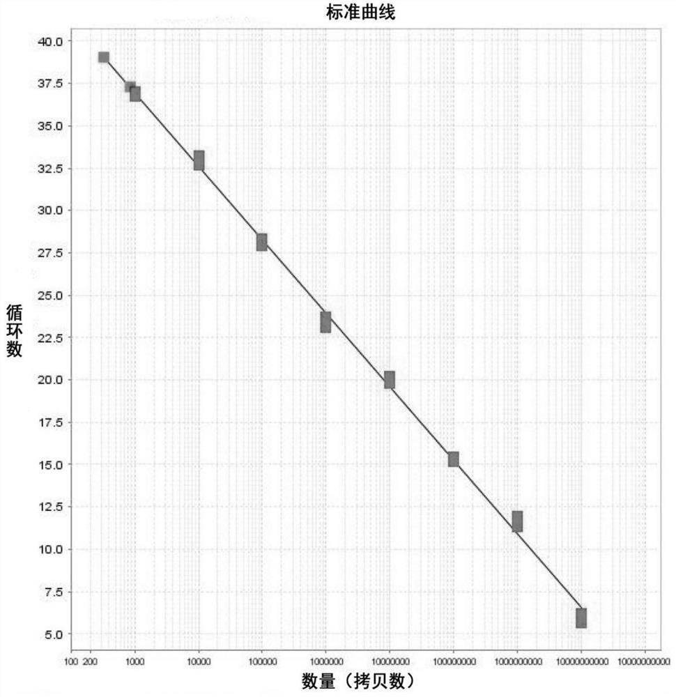 Primer for identifying brucellosis vaccine strain and wild strain, probe and test kit