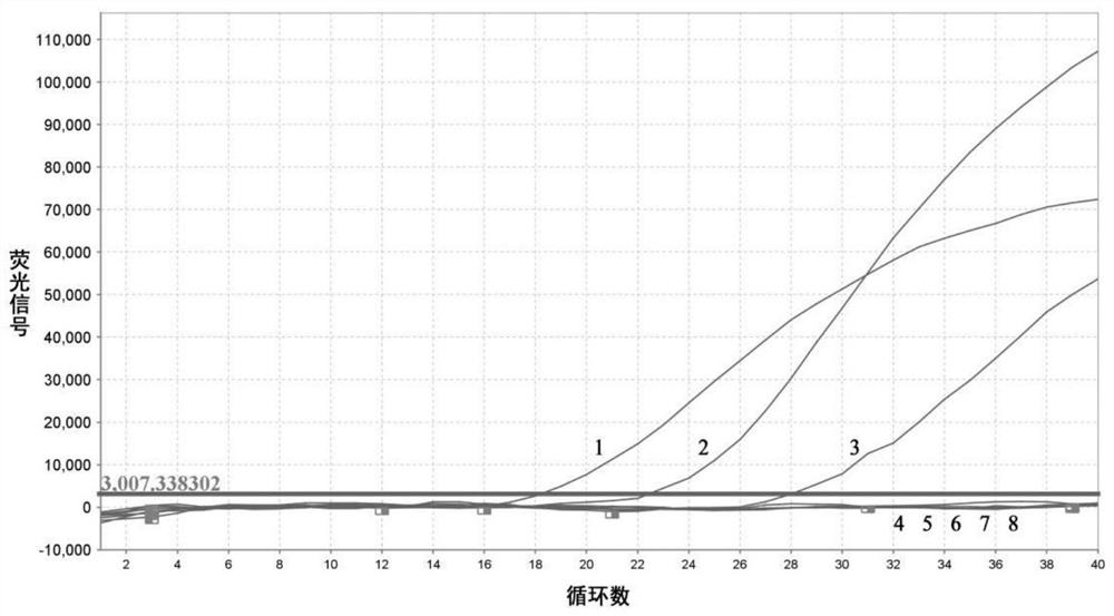 Primer for identifying brucellosis vaccine strain and wild strain, probe and test kit