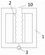 Clamp for anatomizing finless eels