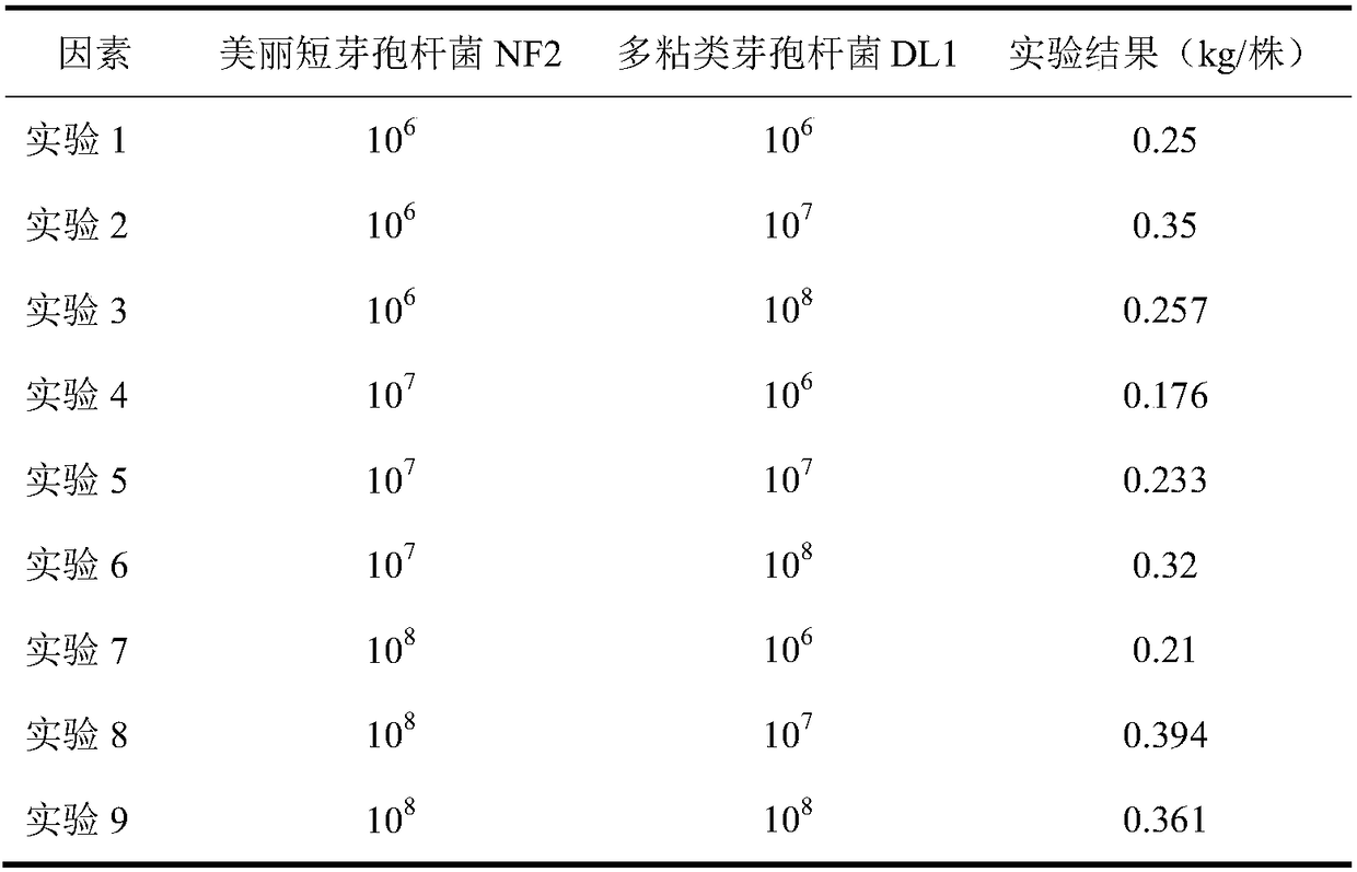 Composite anti-biological inoculant as well as preparation method and application thereof