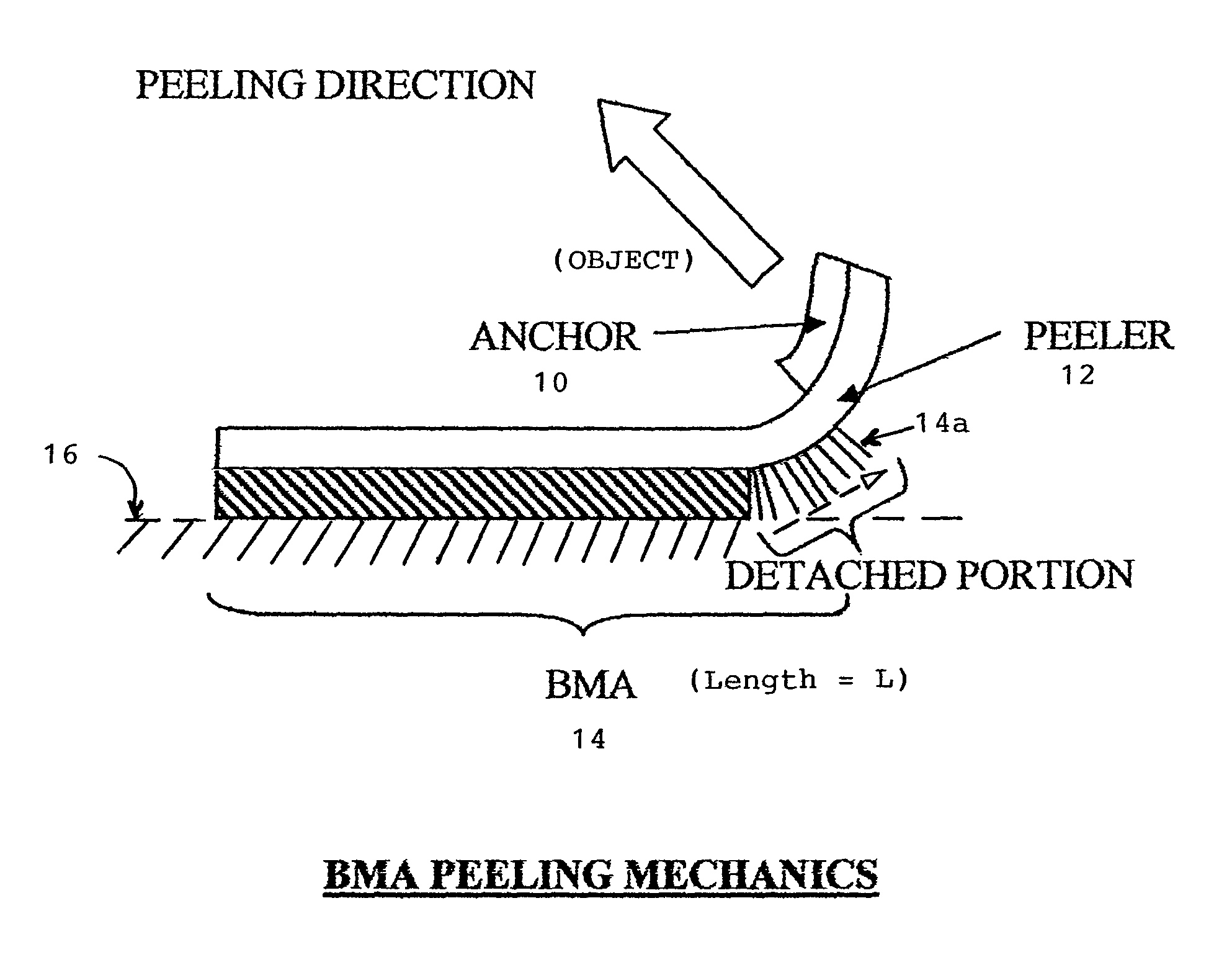 Adhesion device for applying and releasing biomimetic microstructure adhesive from a contact surface