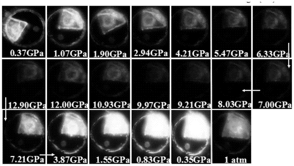 A kind of stilbene nitrile derivative and its preparation method and application