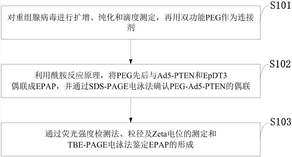 Adapter mediated adenovirus targeting drug-delivery system and structuring method thereof