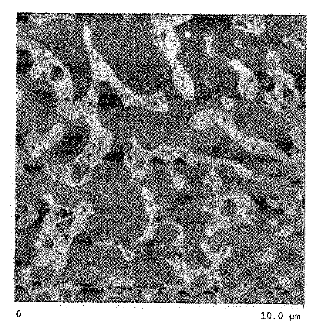 Cellulose articles containing an additive composition