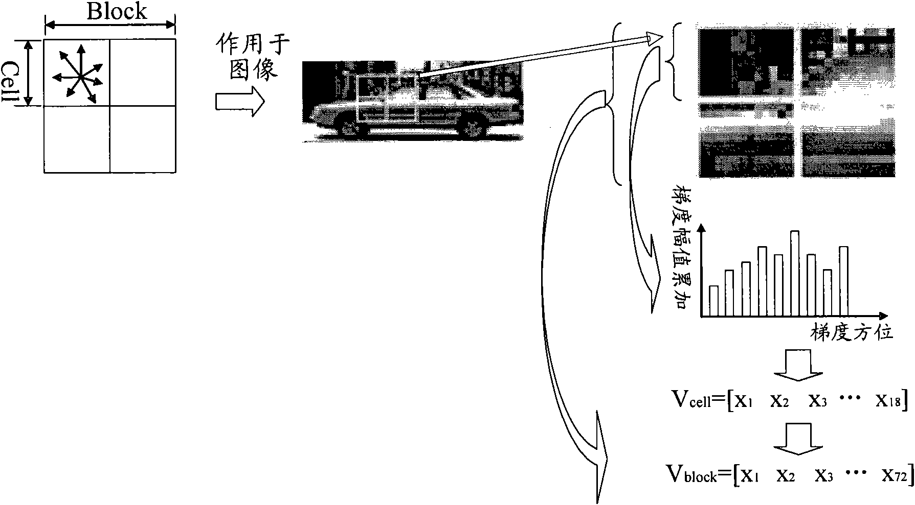 Training device, training method and detection method