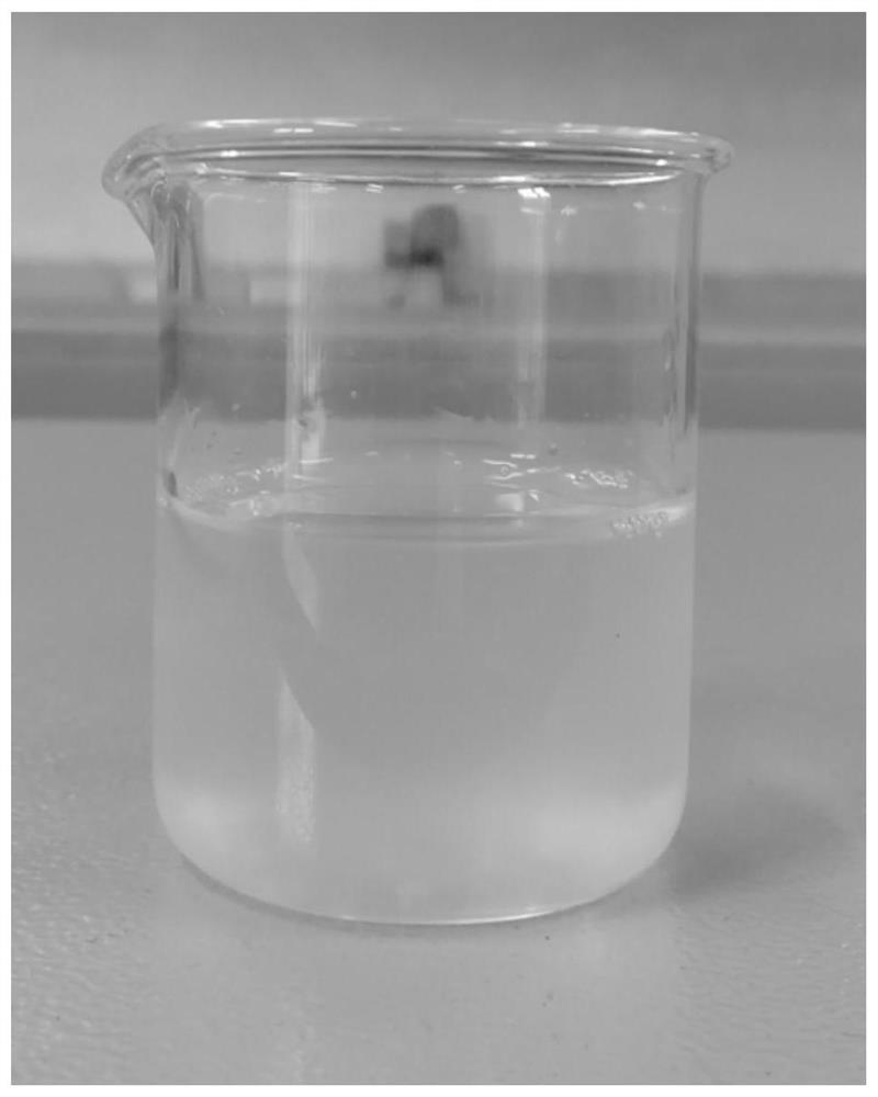 Fish scale collagen/sodium alginate composite porous bone tissue engineering scaffold and its preparation method and application