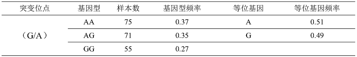 SNP molecular marker related to cockscomb developmental character and detection method thereof