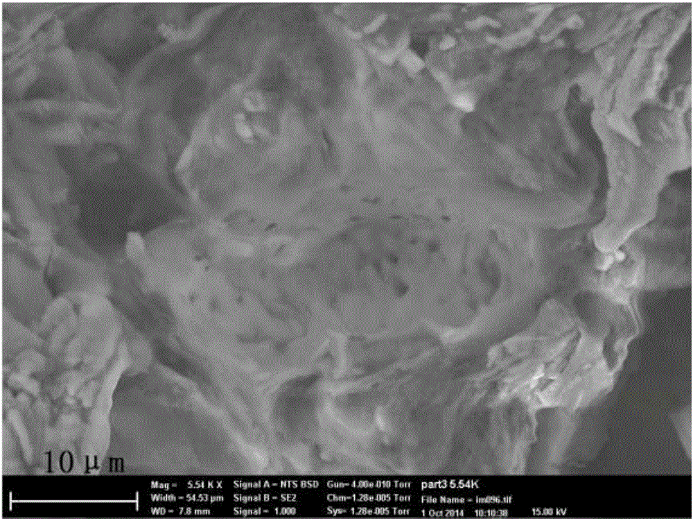 Phosphorus-enhanced carbon-based slow-action fertilizer and preparation method thereof