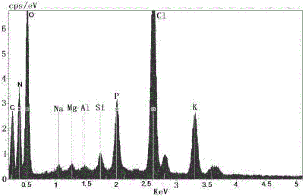 Phosphorus-enhanced carbon-based slow-action fertilizer and preparation method thereof