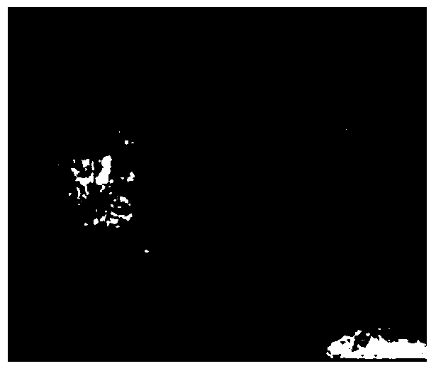 A kind of multi-enzyme modified microcrystalline yam powder with laxative effect and preparation method