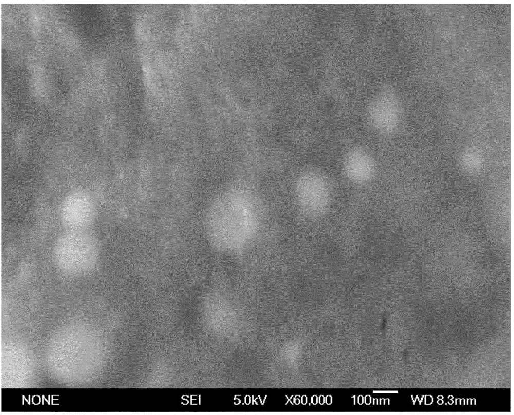 Selenium-rich microbial preparation prepared by fermentation of animal serum and preparation method of selenium-rich microbial preparation