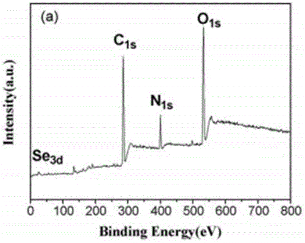 Selenium-rich microbial preparation prepared by fermentation of animal serum and preparation method of selenium-rich microbial preparation