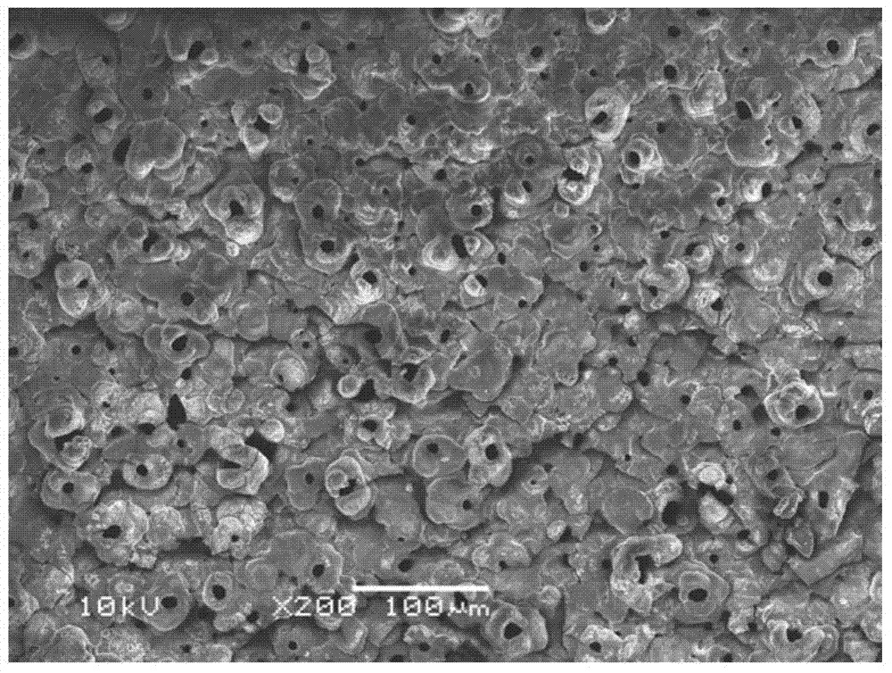 Preparation method of ceramic thermal control coating layer with low solar absorption ratio and high infrared radiation rate and growing on surface of magnesium-lithium alloy in situ