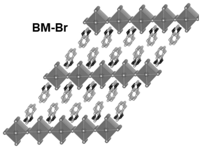 Benzimidazole cationic two-dimensional perovskite material as well as preparation method and application thereof