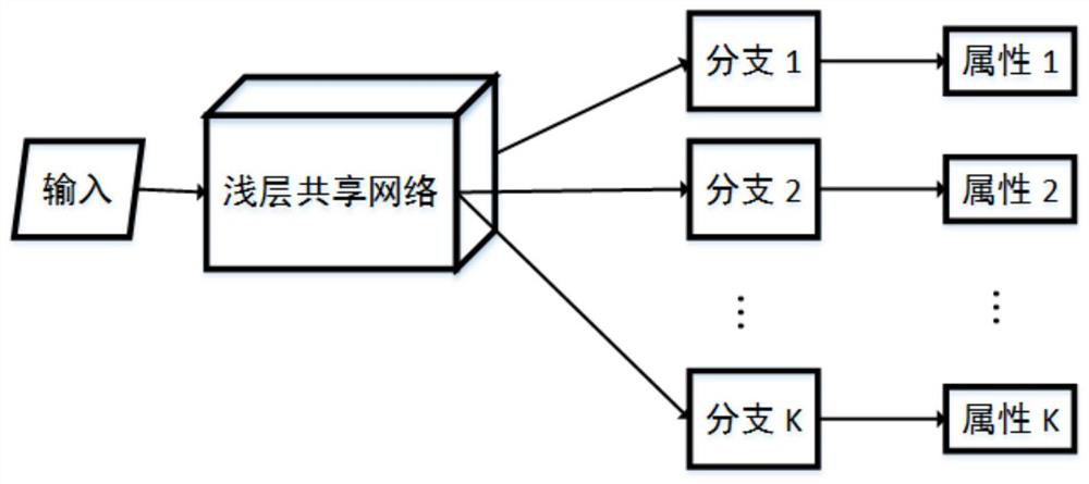 A face multi-attribute recognition method based on multi-source data