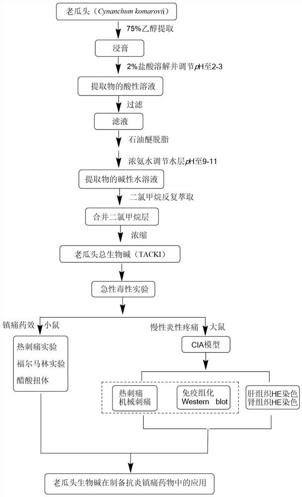 Application of total alkaloids of cynanchum komarovii in preparation of anti-inflammatory and analgesic drugs