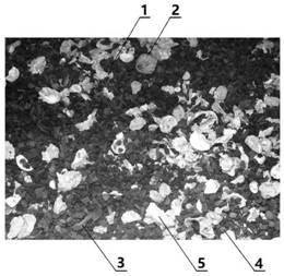 Anti-hardening acid-corrosion-resistant fluffy biological deodorization composite filler