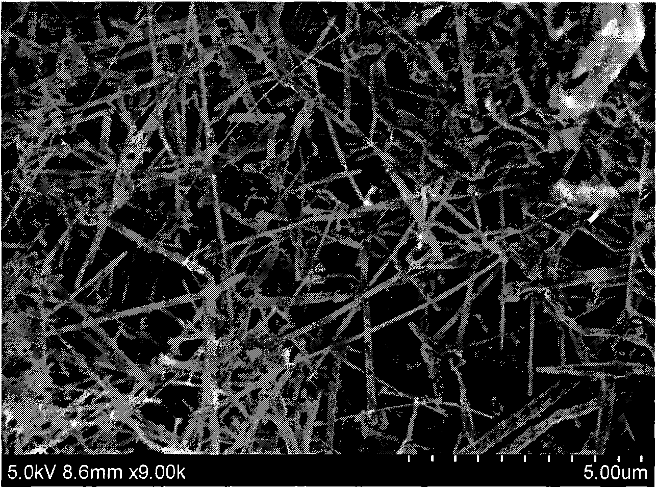 Method for preparing high-yield SiC nanowire