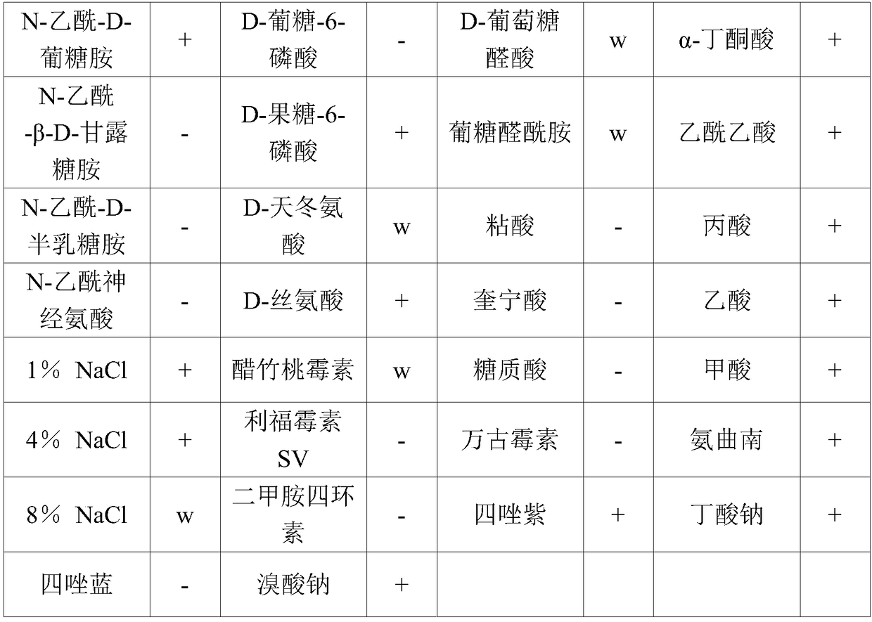 Composite microbial inoculum of lysinibacillus and bacillus subtilis and preparation method thereof