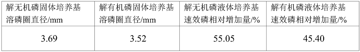 Composite microbial inoculum of lysinibacillus and bacillus subtilis and preparation method thereof