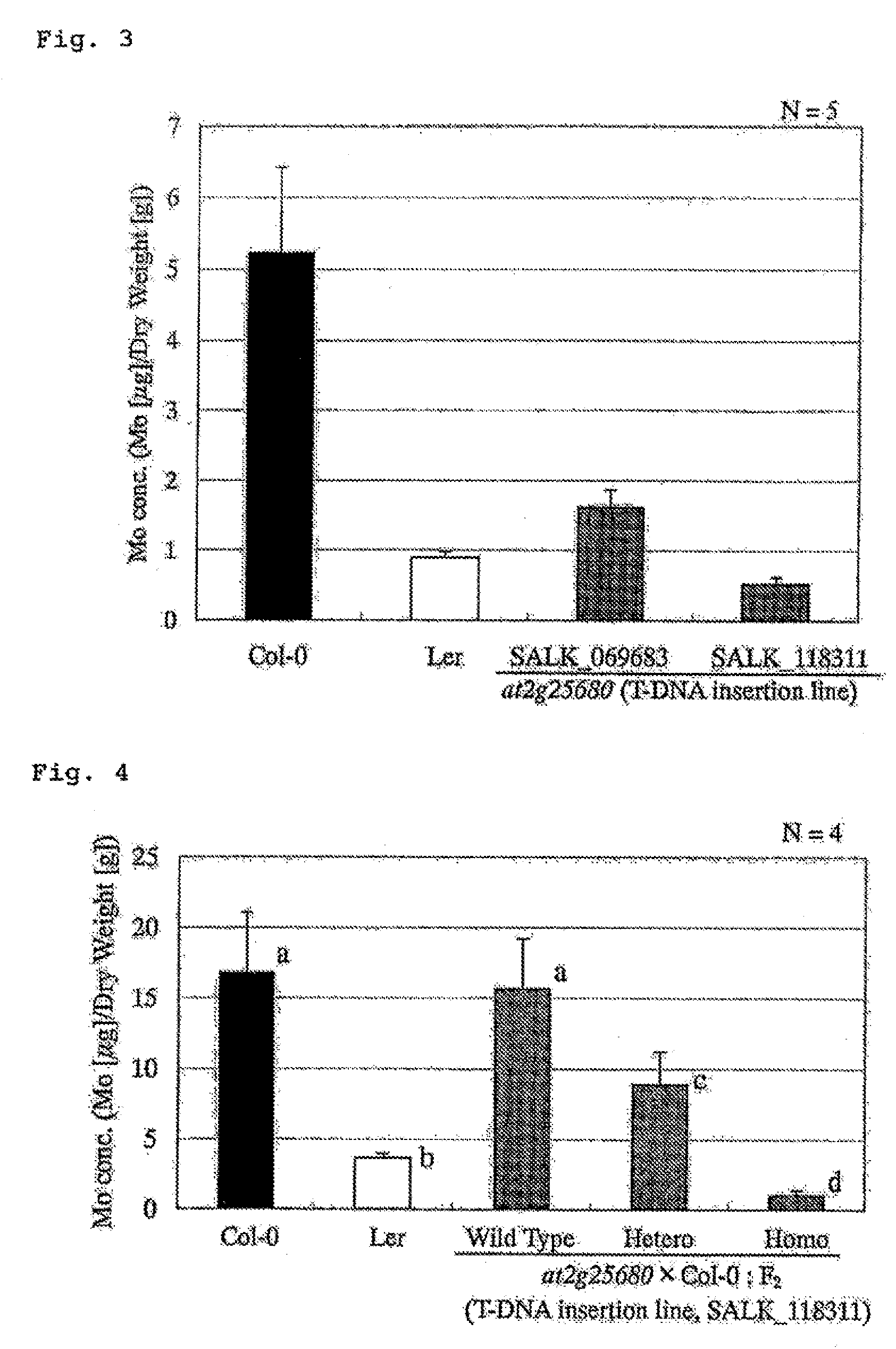 Molybdenum Transporter and Gene Thereof