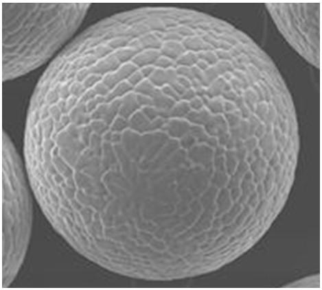 Cross-linked SBR microsphere adhesive, preparation method and lithium ion battery containing adhesive