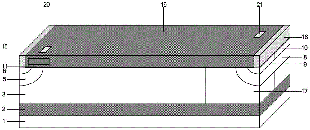 A reverse conduction double gate insulated gate bipolar transistor