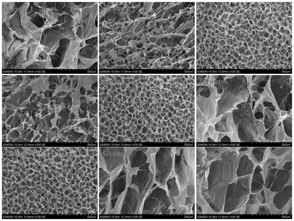 A marine biomedical material for skin wound repair and its preparation method and application