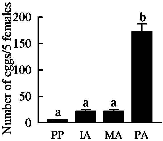 Determination method and application of volatile active compound having effect of attracting dichocrocis punctiferalis