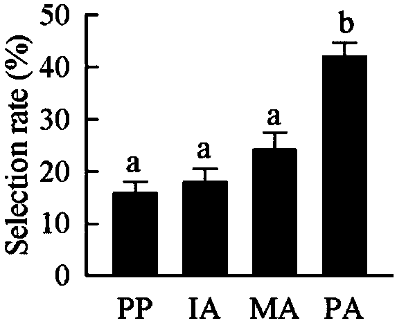 Determination method and application of volatile active compound having effect of attracting dichocrocis punctiferalis