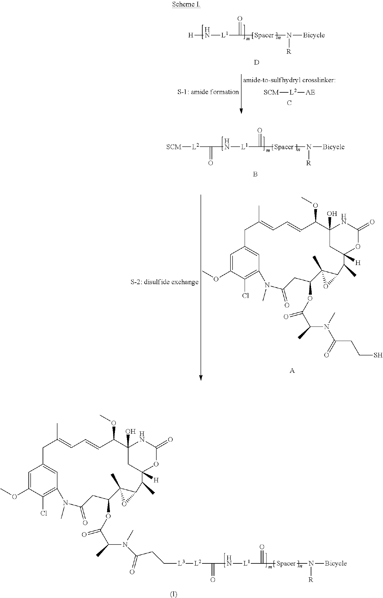 Synthesis of bicycle toxin conjugates, and intermediates thereof