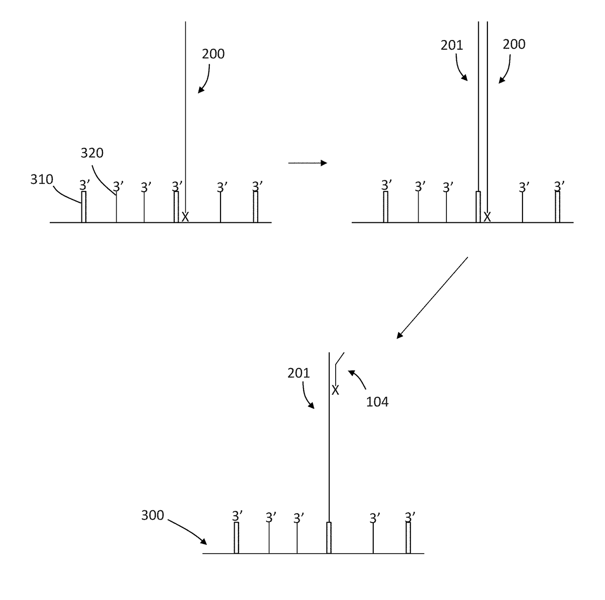 Compositions and methods for improving sample identification in indexed nucleic acid libraries