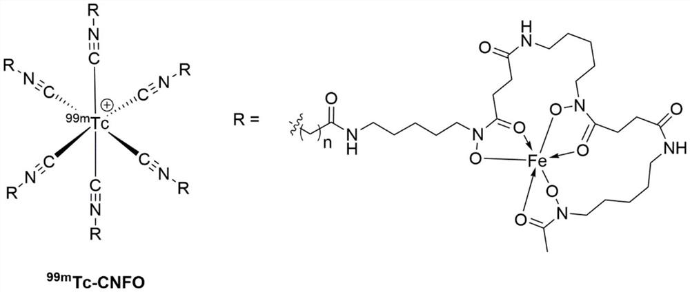 Technetium-99m-labeled isonitrile-containing ferrichomide derivative as well as preparation method and application thereof